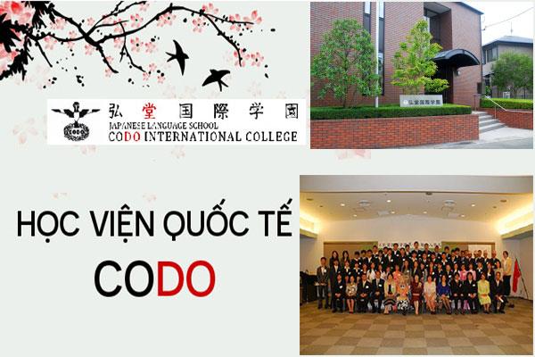 Học viện Quốc tế CODO